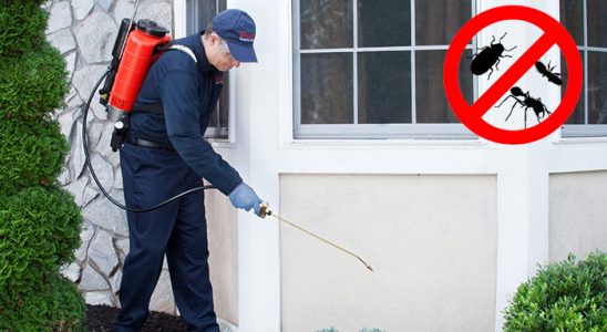 Basınsitesi Karınca İlaçlama böcek ilaçlama ve haşere kontrolü — ilaclama-tr.com
